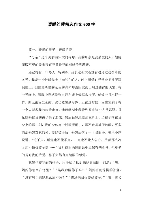 暖暖的爱精选作文600字