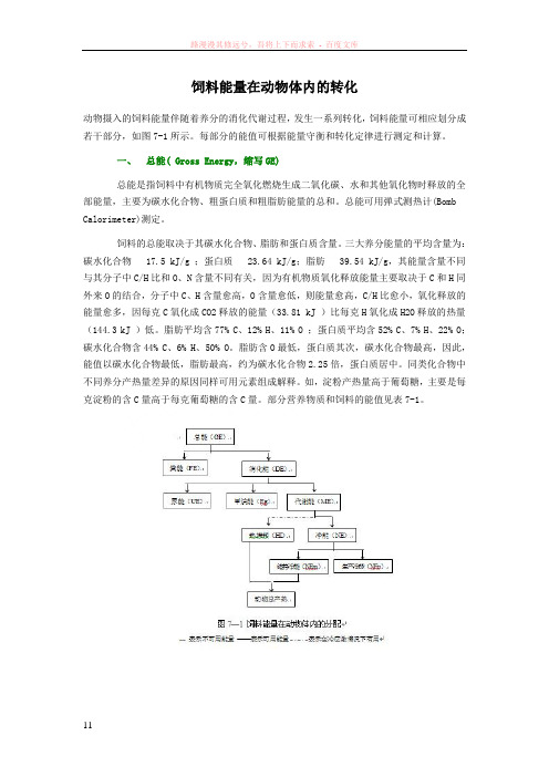 饲料能量在动物体内的转化