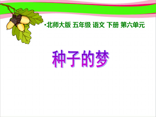 北师大版小学五年级下册语文《种子的梦》课件PPT   大赛获奖精美课件PPT