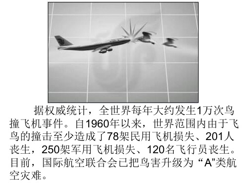九年级科学为什么飞鸟能撞坏飞机(PPT)5-1