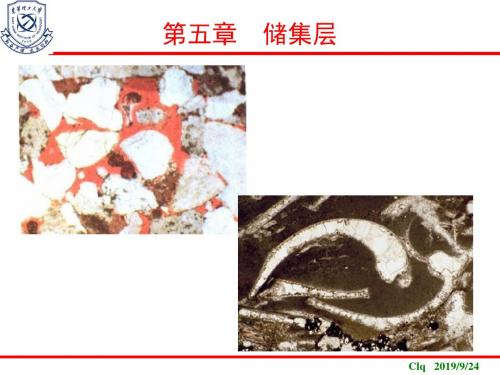 石油地质学-3. 储集层