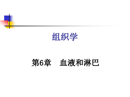  组织学与胚胎学第6章血液和淋巴