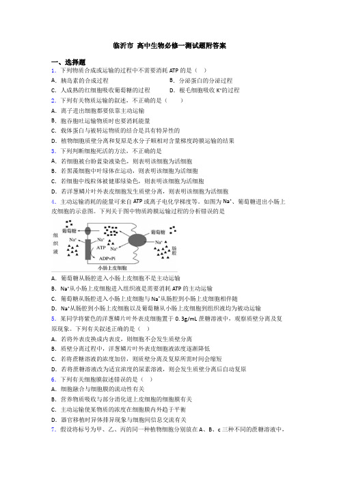 临沂市 高中生物必修一测试题附答案