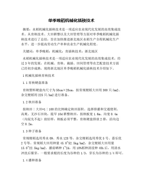 单季晚稻机械化插秧技术