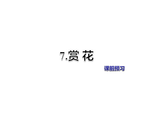 冀教版四年级语文上册第7课《赏花》课前预习课件