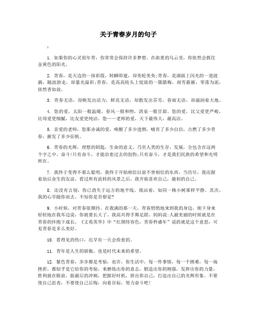 关于青春岁月的句子
