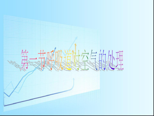 人教版生物七年级下册  4.3.1《呼吸道对空气的处理》 课件(共25张PPT)