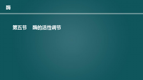 4.5  酶活性的调节