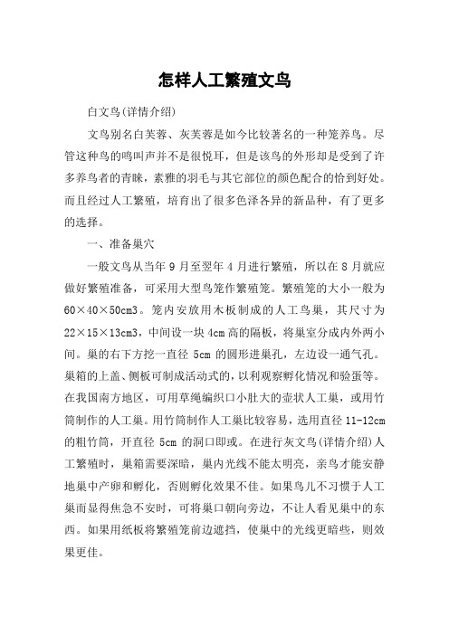 怎样人工繁殖文鸟
