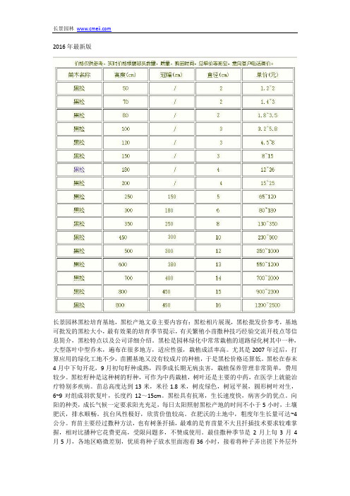 黑松产地