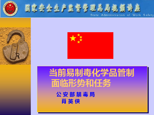 当前易制毒化学品监管面临的形势与任务(PPT)