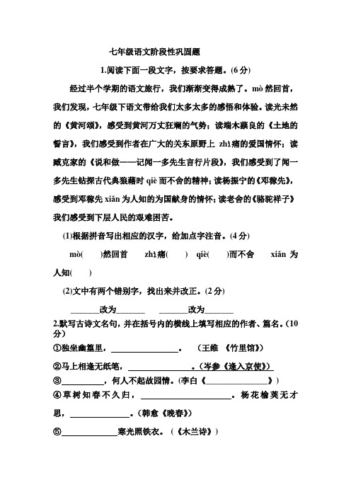 七年级语文阶段性巩固题