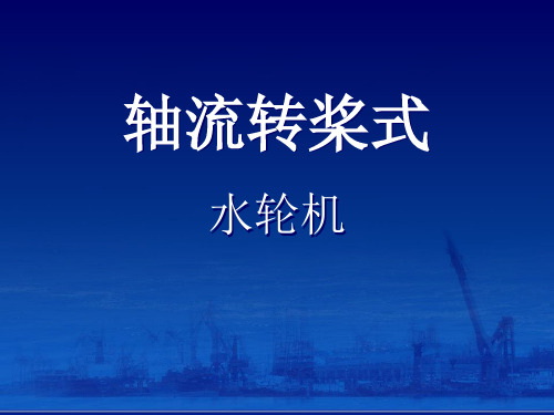 轴流转桨式水轮机  ppt课件