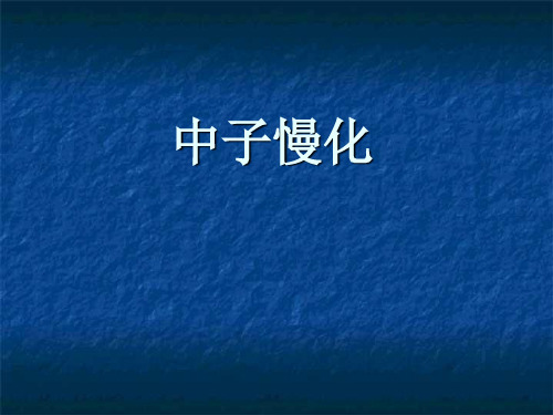 中子慢化理论