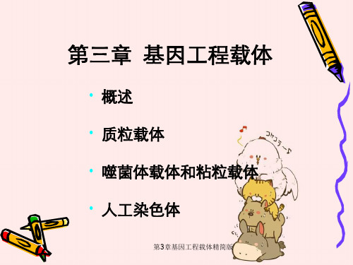 第3章基因工程载体精简版