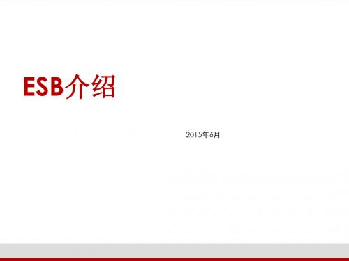 ESB介绍材料课件