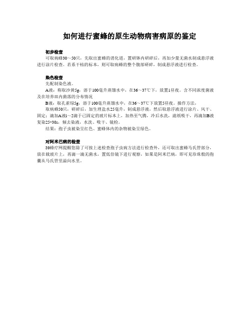 如何进行蜜蜂的原生动物病害病原的鉴定