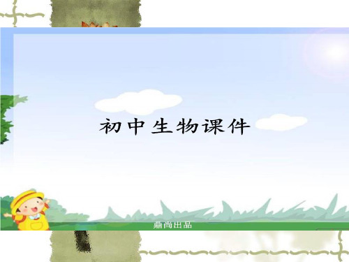 济南版生物七下第一、二章复习