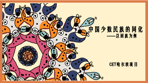少数民族的同化——以回族为例