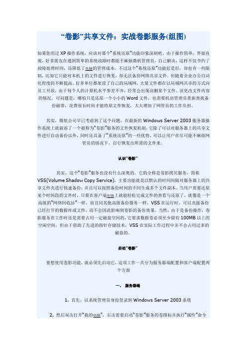 卷影共享文件：实战卷影服务(组图)