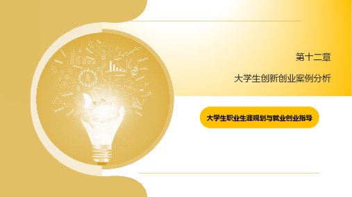 大学生职业生涯规划与就业创业-大学生创新创业案例分析