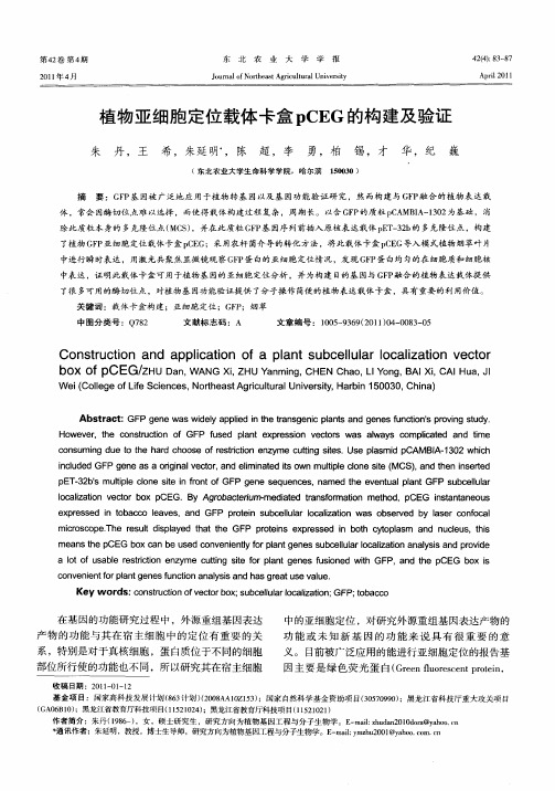 植物亚细胞定位载体卡盒pCEG的构建及验证