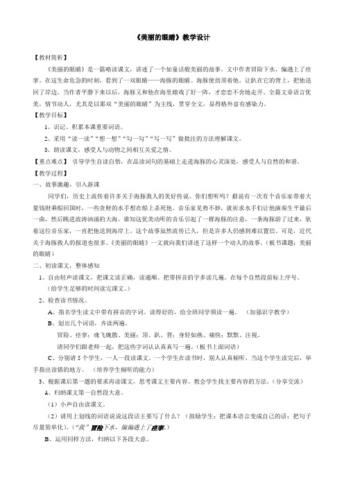 美丽的眼睛 教案