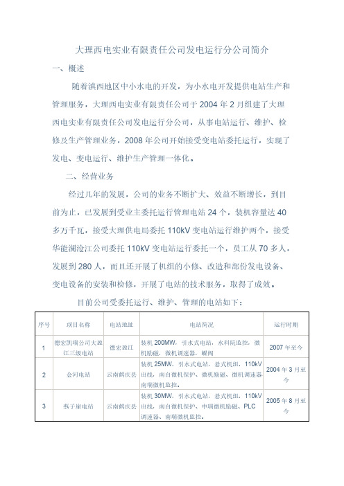 【免费下载】大理西电实业有限责任公司发电运行分公司简介