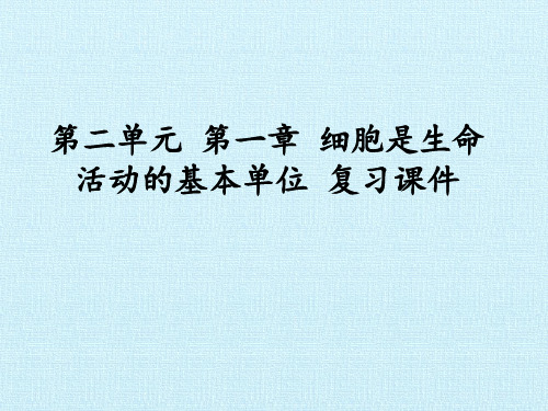 人教版初中七年级上册生物：第一章  细胞是生命活动的基本单位 复习课件