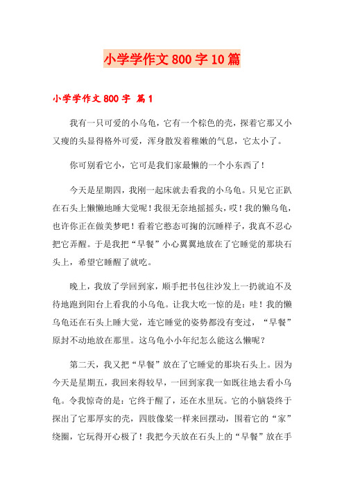 小学学作文800字10篇
