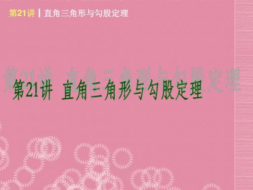 2013届中考数学考前热点冲刺《第21讲 直角三角形与勾股定理》课件 新人教版