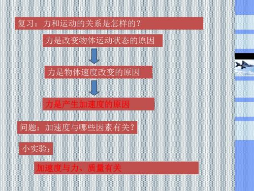 2013年高一物理新人教版必修1课件4.2《实验探究加速度与力、质量的关系》