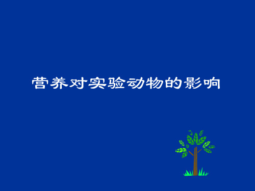 营养对实验动物的影响ppt课件