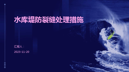 水库堤防裂缝处理措施