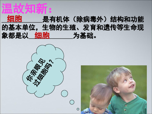 细胞的形态及功能精品PPT课件