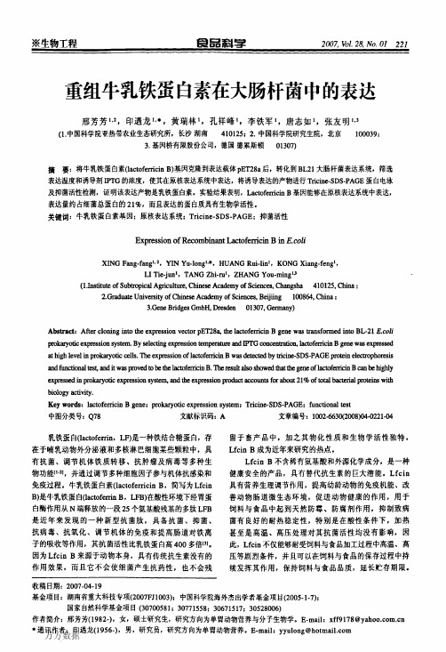 重组牛乳铁蛋白素在大肠杆菌中的表达