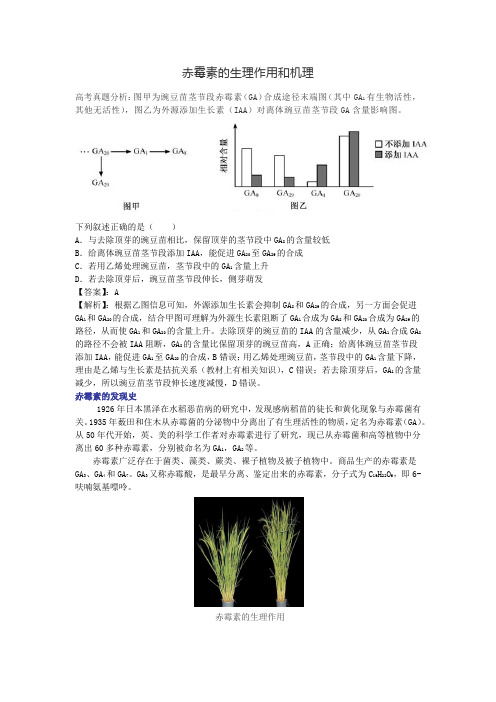 赤霉素的生理作用和机理
