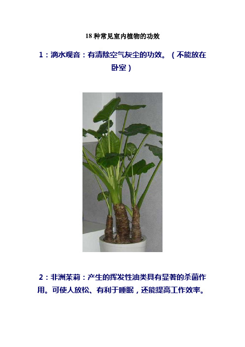 18种常见室内植物的功效