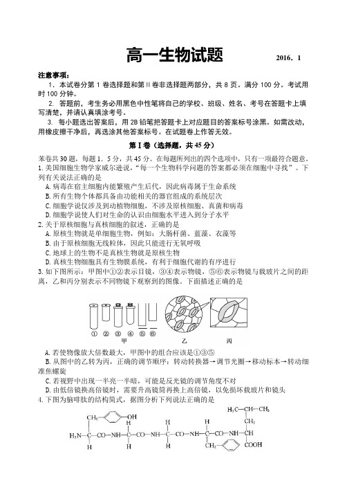 山东省临沂市某重点中学2015-2016学年高一上学期期末教学质量抽测生物试题含答案
