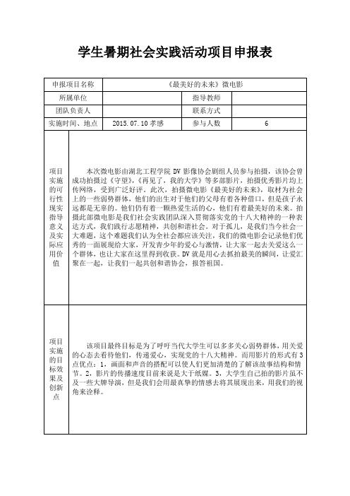 暑期大学生社会实践活动团队项目立项申报表