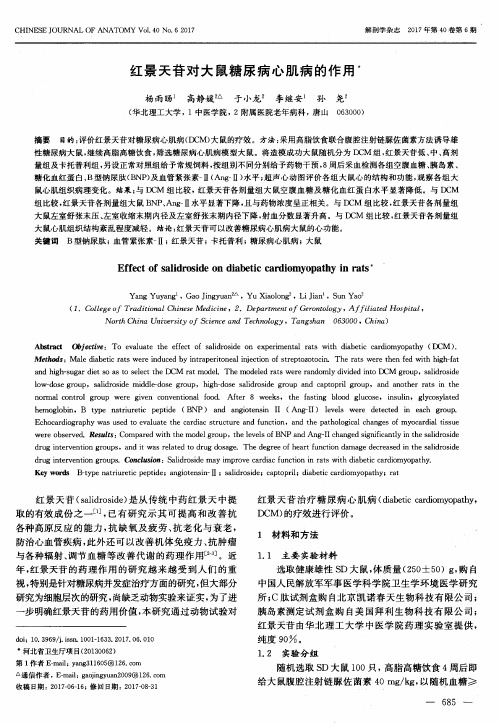 红景天苷对大鼠糖尿病心肌病的作用