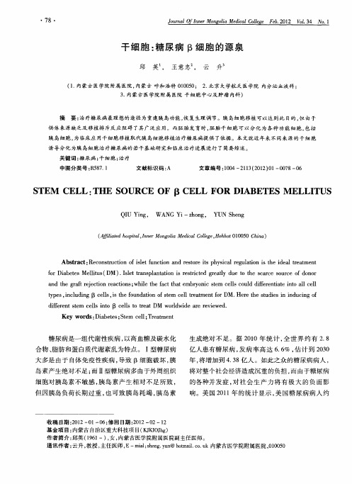 干细胞：糖尿病β细胞的源泉
