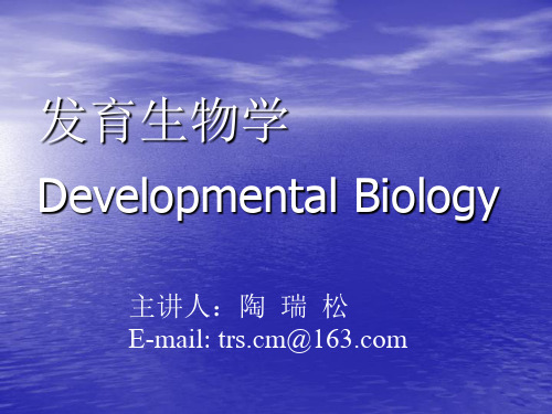 发育生物学复习资料(上)
