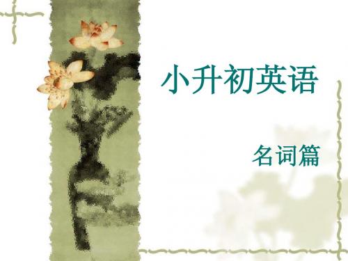 小学英语专项知识-名词