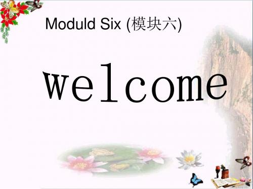 五年级英语下册Module6Unit2《ShevisitedtheTianchiLake》 优秀课件3(新版)外研版(三起)