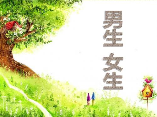 《男生女生》同侪携手共进PPT课件6