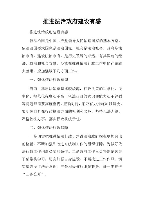 推进法治政府建设有感.doc