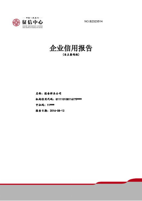 征信报告模板