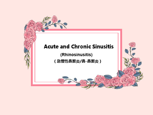 急慢性鼻窦炎鼻鼻窦炎Acute and Chronic SinusitisPPT课件(精品医学课件)