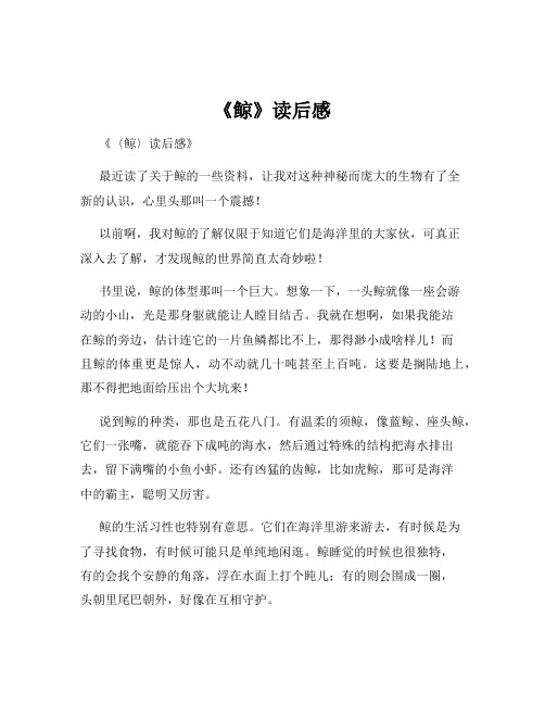 《鲸》读后感